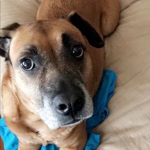 Meet your Posher, Lisa